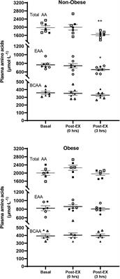 Lack of Increase in Muscle Mitochondrial Protein Synthesis During the Course of Aerobic Exercise and Its Recovery in the Fasting State Irrespective of Obesity